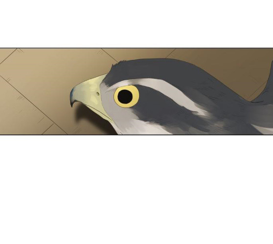 The Boxer Ch.38 p1