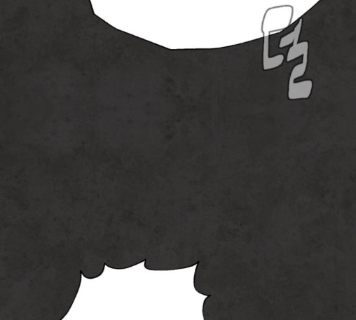 White Blood Ch.27 p53