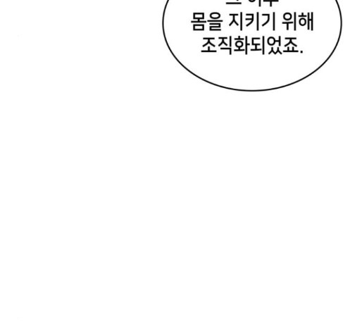 Wizard of Arsenia Ch.26 p242