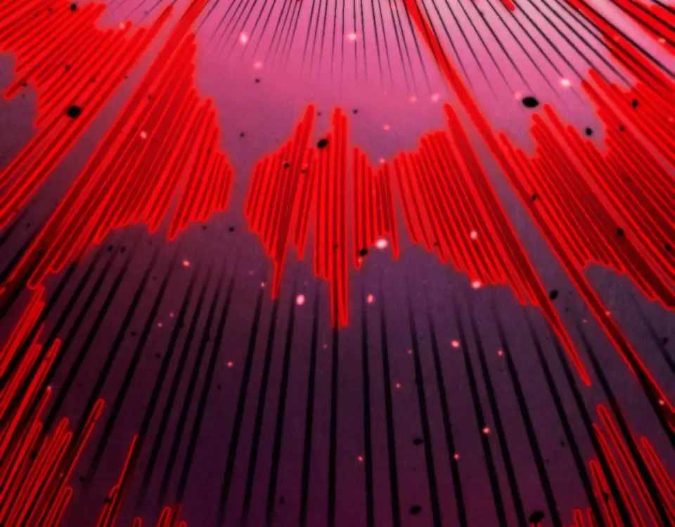 The Ultimate of All Ages Chapter 486 - 15