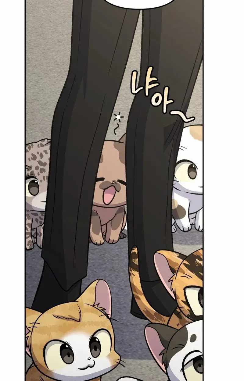 Bizarre restaurant Ch.93 p125