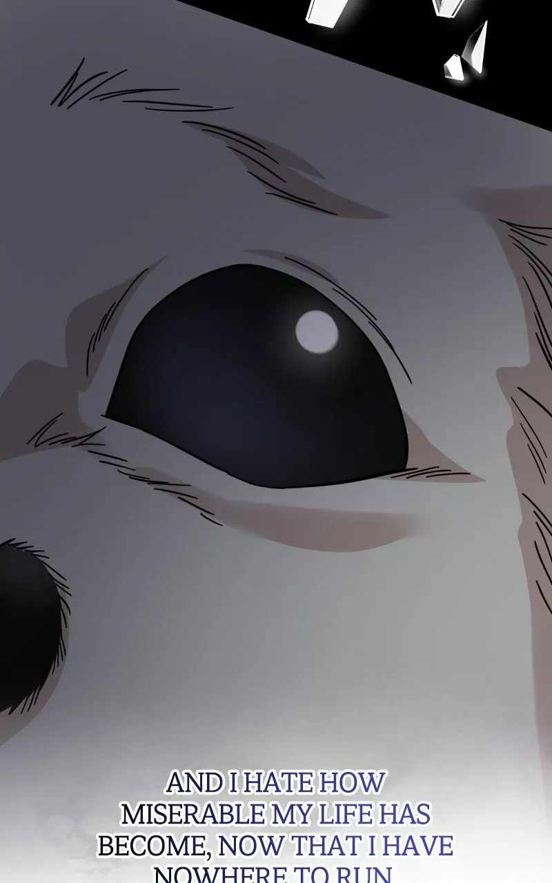 Can You Date a Ranker? Ch.55 p21