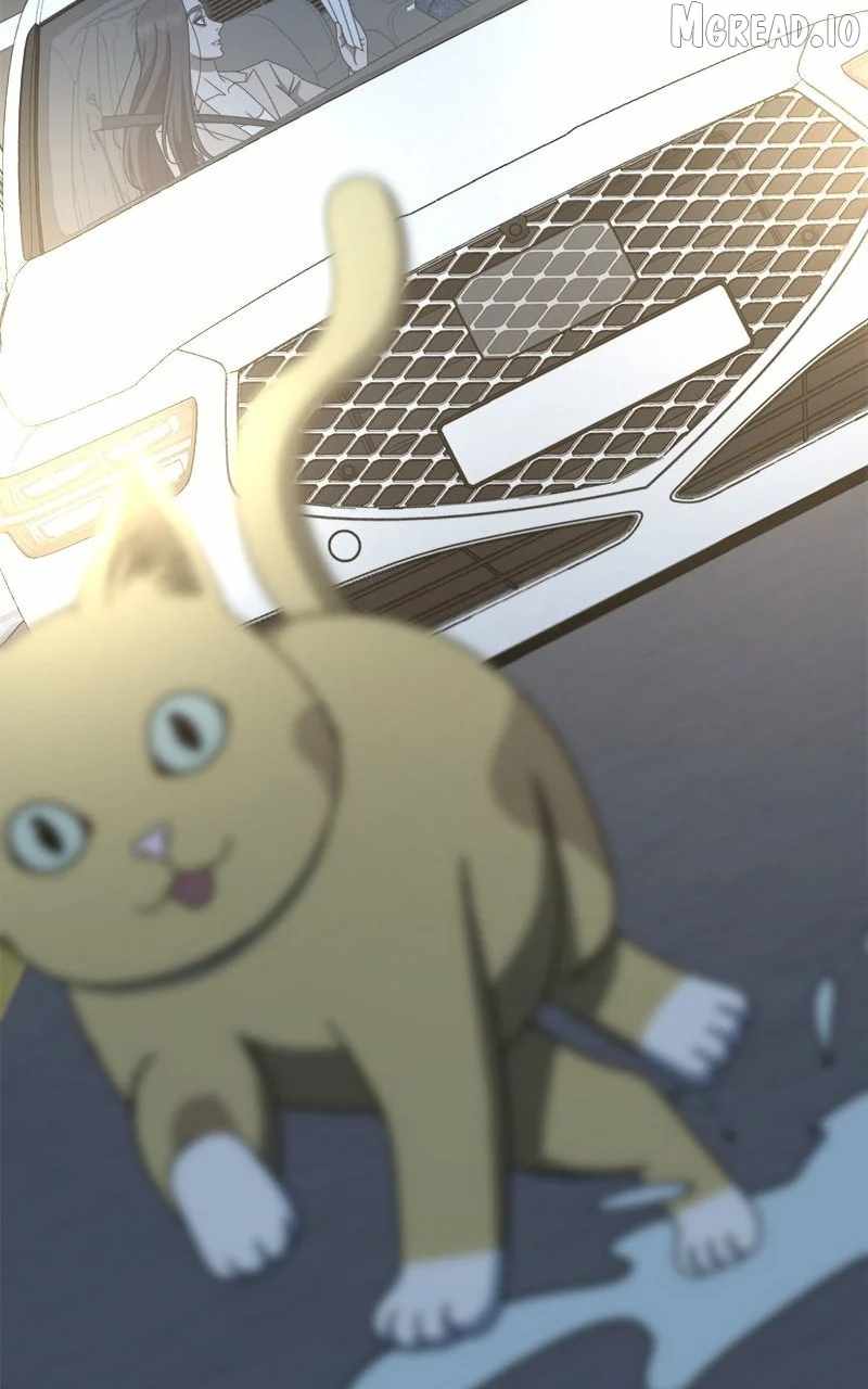 Change Me Ch.249 p66