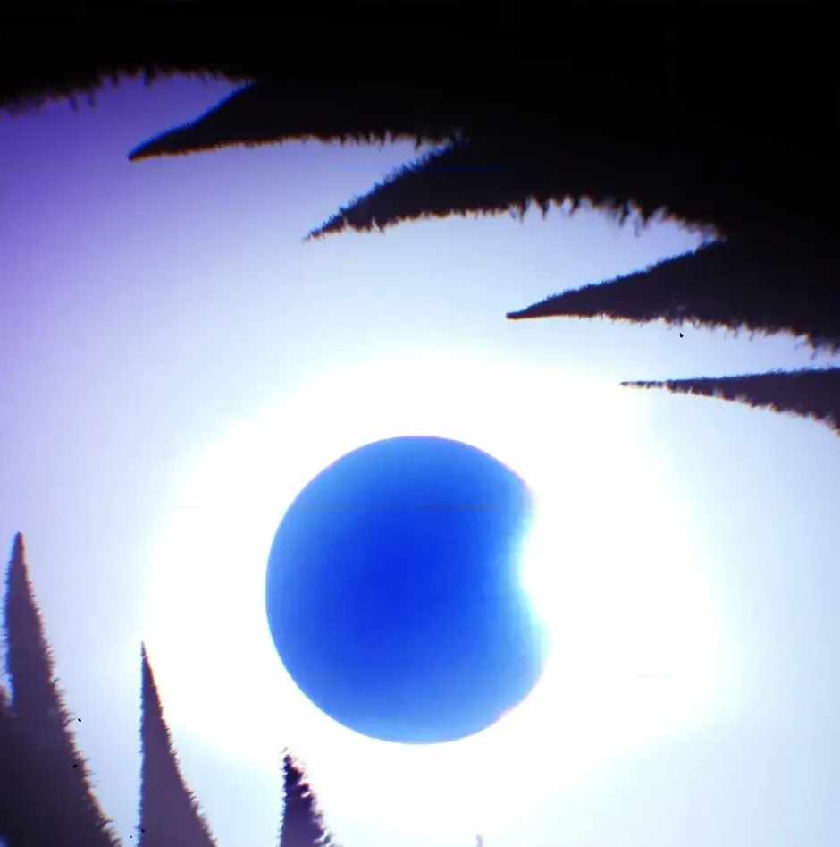 Guide to be King of the Dead Ch.74 p139