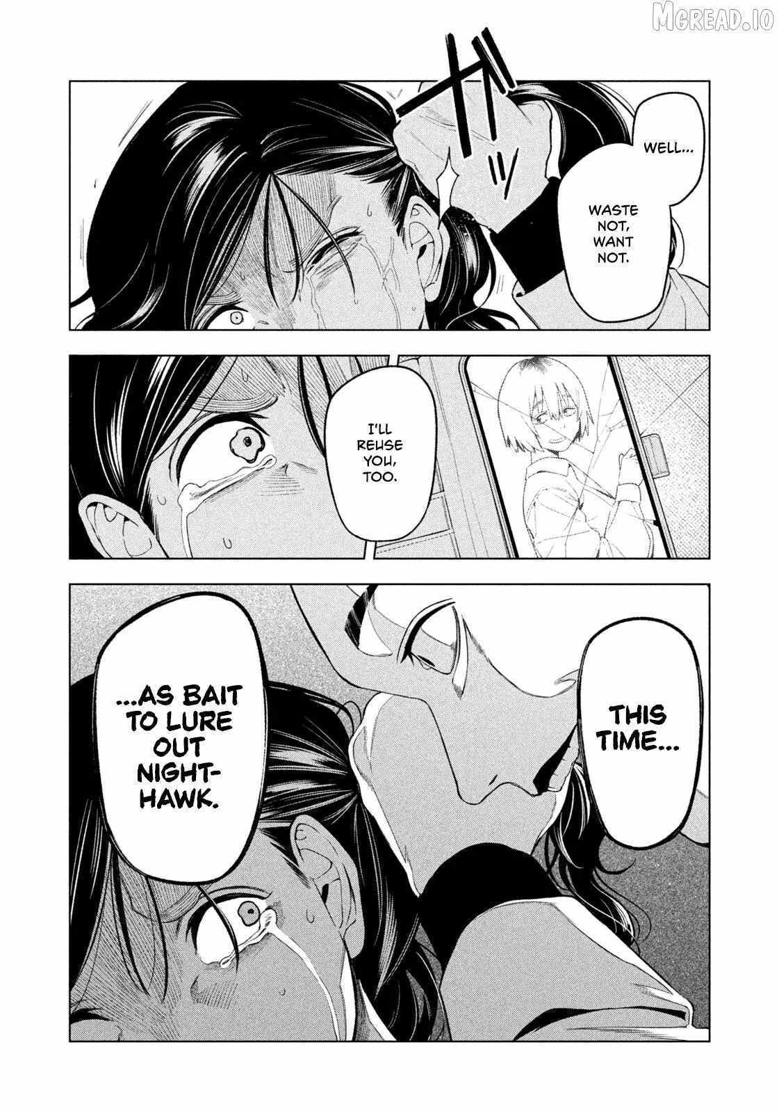 Nighthawk Returns Ch.20 p20