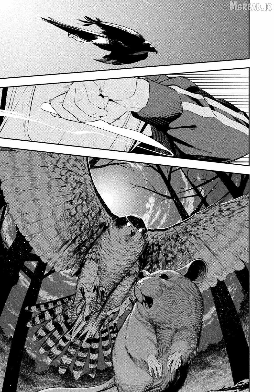 Nighthawk Returns Ch.21 p12
