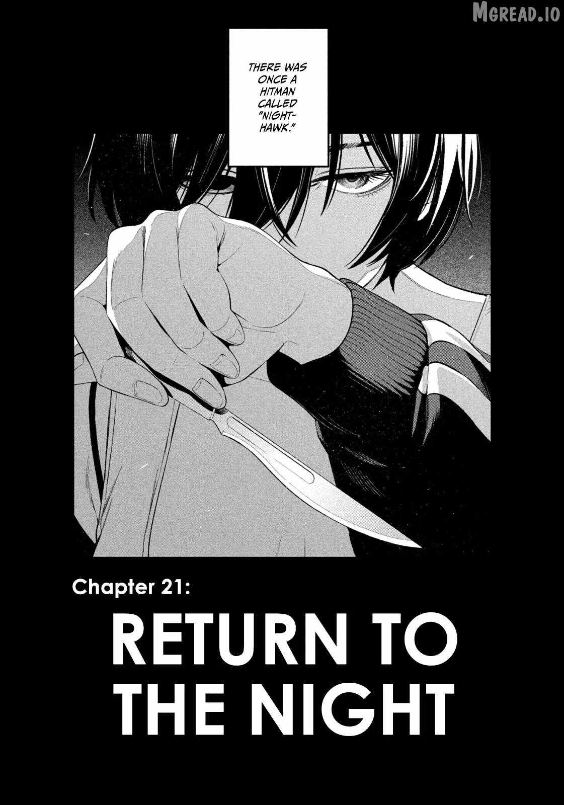 Nighthawk Returns Ch.21 p17