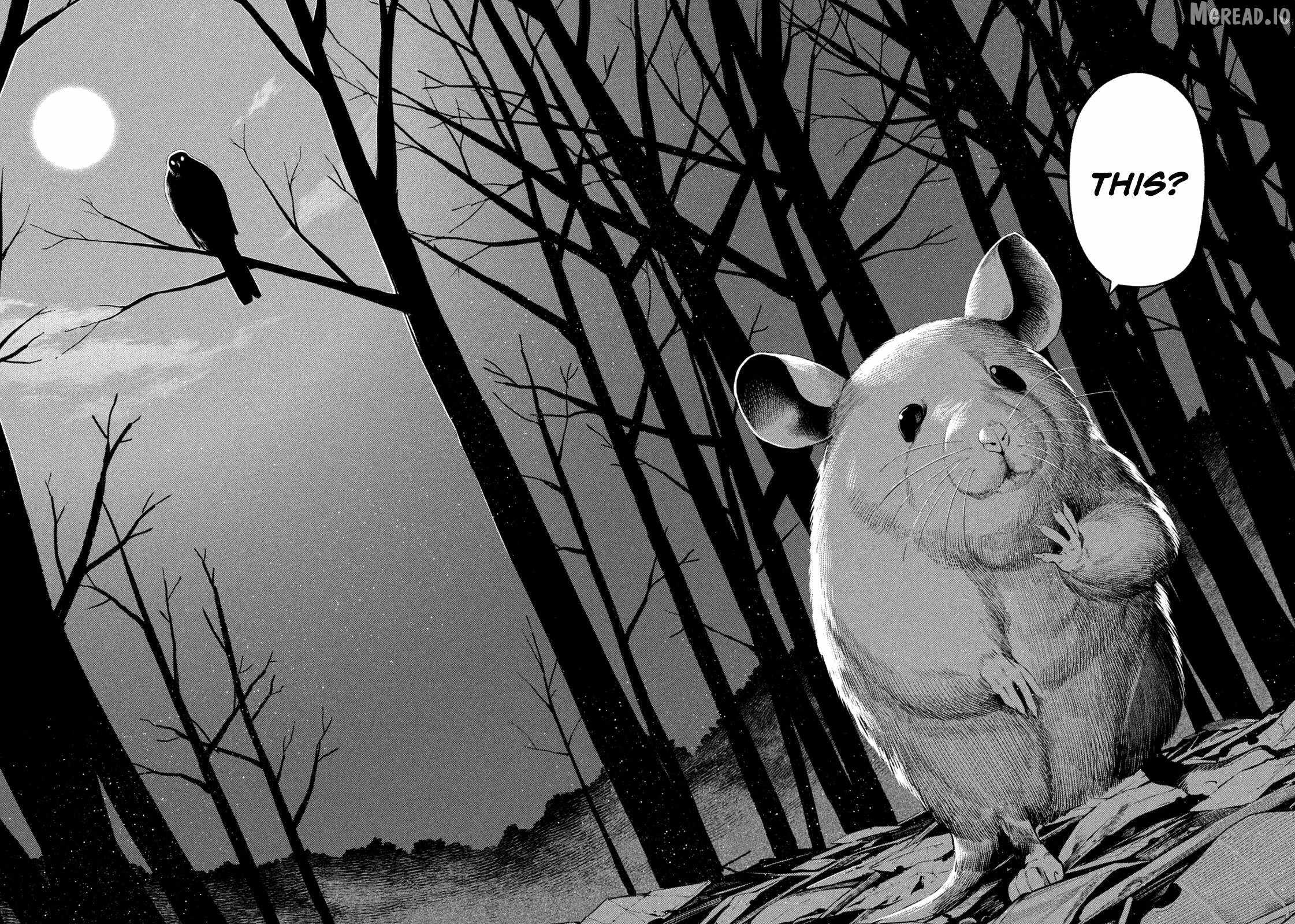Nighthawk Returns Ch.21 p10