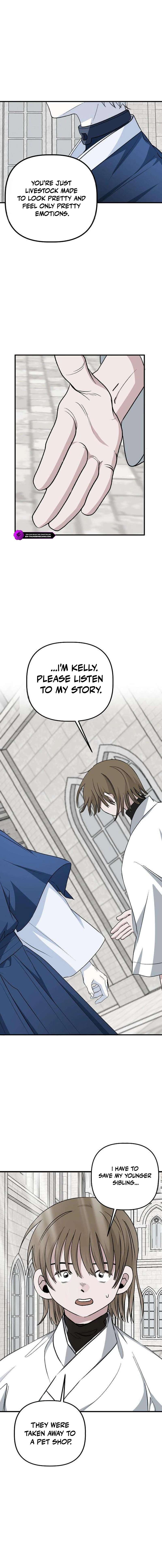 Peach Blossom Paradise Ch.17 p13