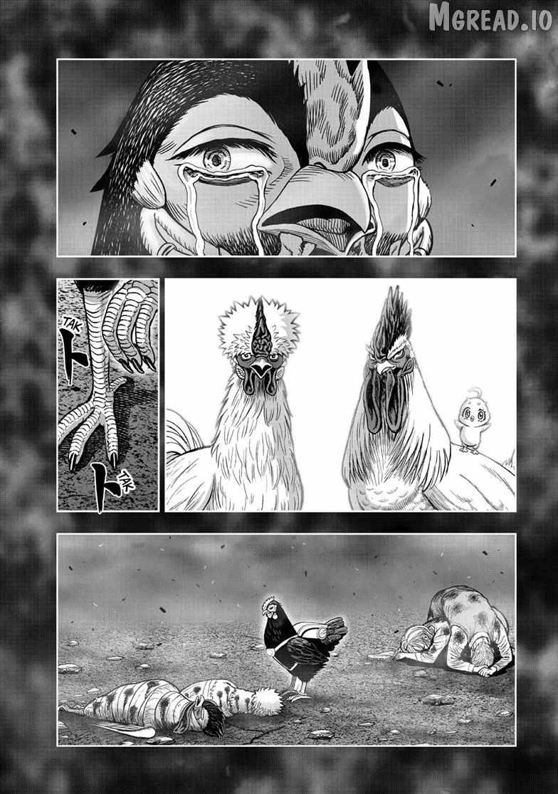 Rooster Fighter Ch.60 p22
