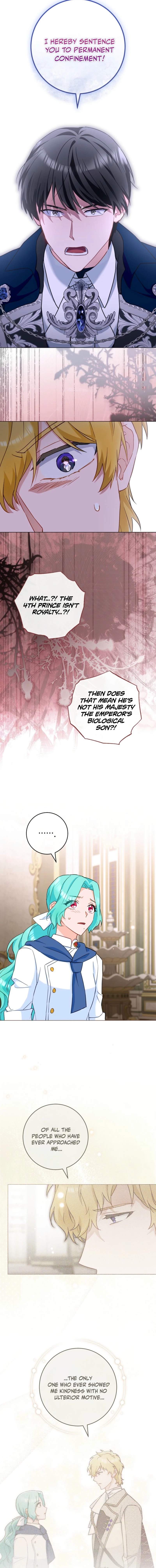 Royal Shop Of Young Lady Ch.213 p13