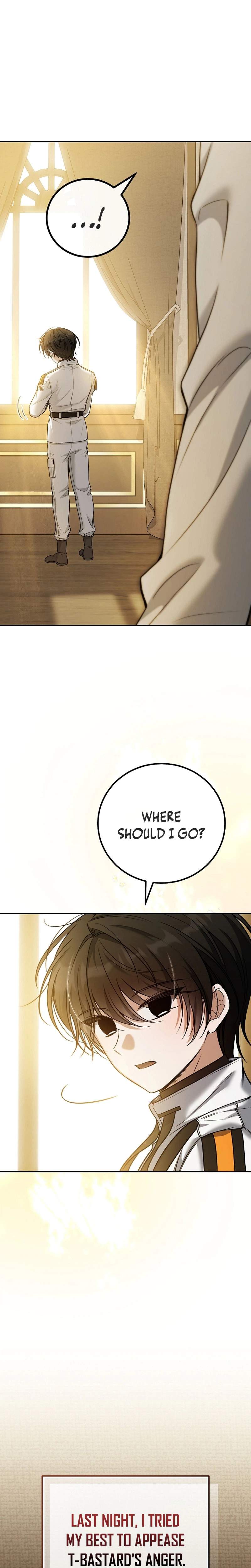 The Apocalypse Needs a Pro Ch.8 p8