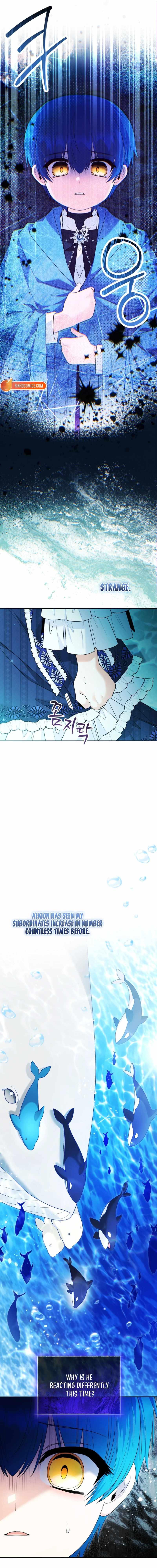 Black Killer Whale Baby Ch.107 p15