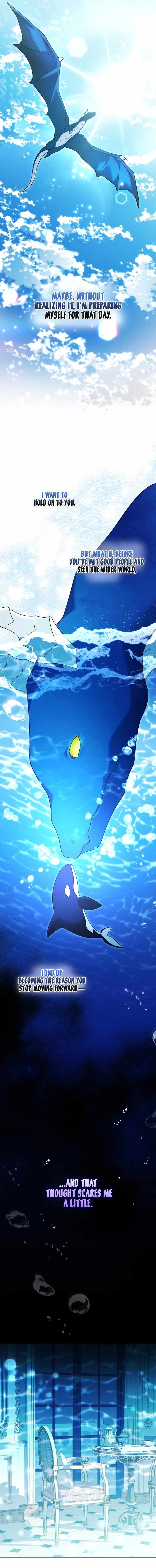 Black Killer Whale Baby Ch.107 p19