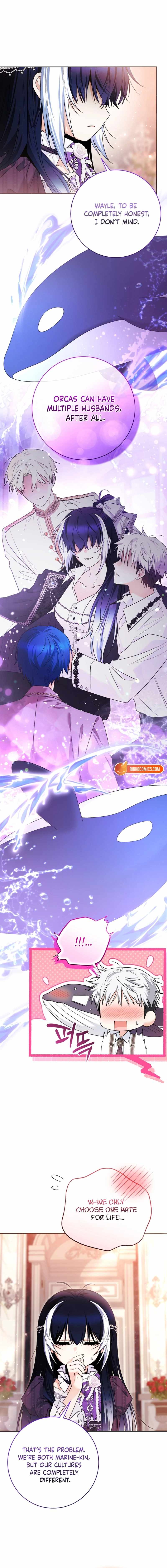 Black Killer Whale Baby Ch.107 p5
