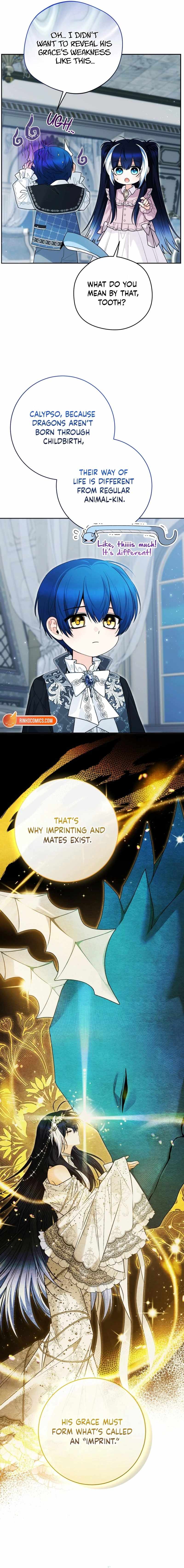 Black Killer Whale Baby Ch.109 p4