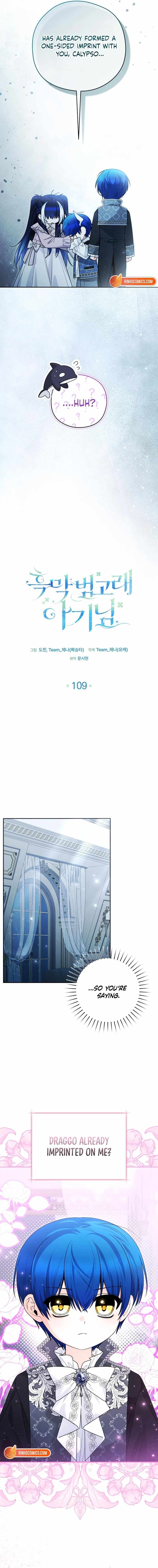 Black Killer Whale Baby Ch.109 p6